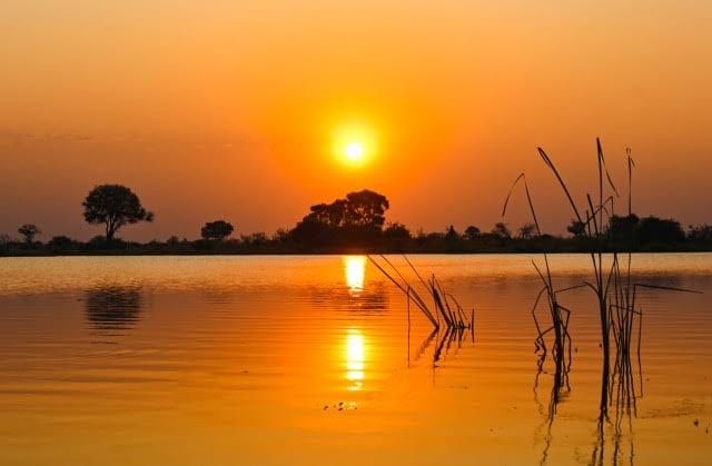 Delta Sunset Landscape