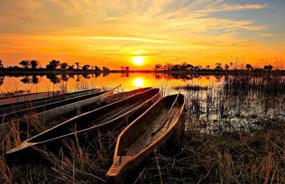 Okavango Delta Mokoro Poling